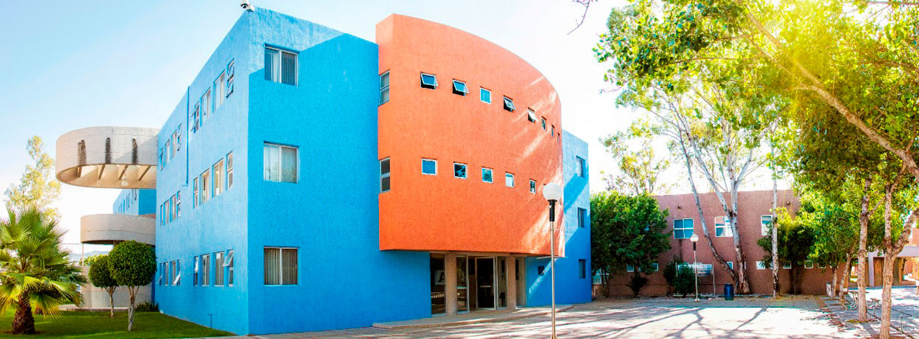 Sede